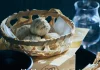 【甲子|飯沼本家】秋の長月、生演奏とともに食事とお酒を楽しむ優雅なひとときを。「月見の宴 2026」を9月20・21・26・27日の4日間限定で開催。