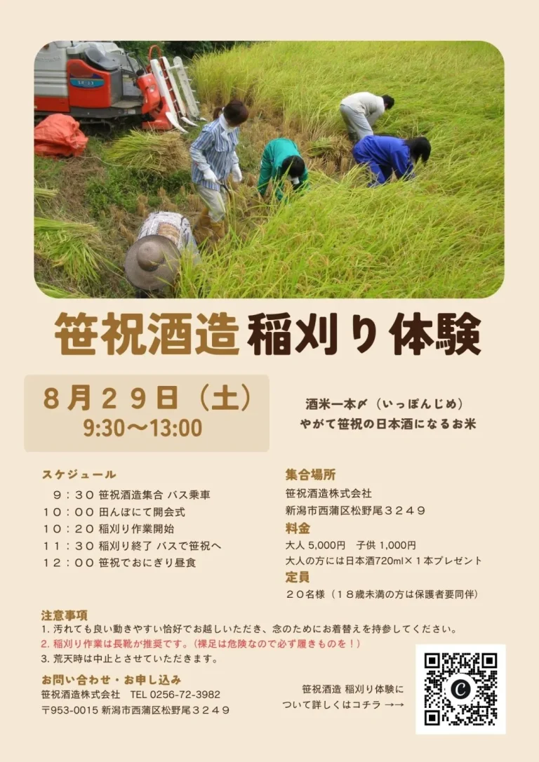 笹祝酒造 稲刈り体験