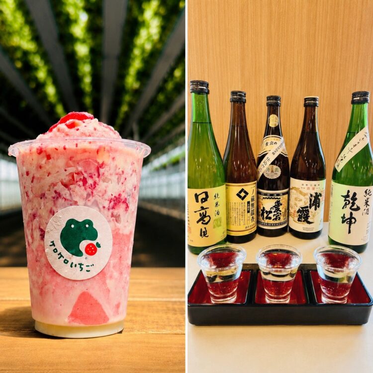 宮城の地酒3種飲み比べといちごけずり付き！メルキュール宮城蔵王リゾート＆スパの宿泊プランで地元の味を楽しもう