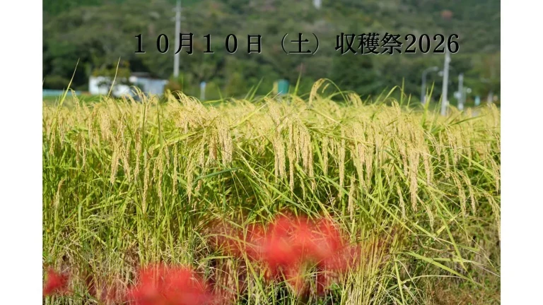 酒一筋 収穫祭2026